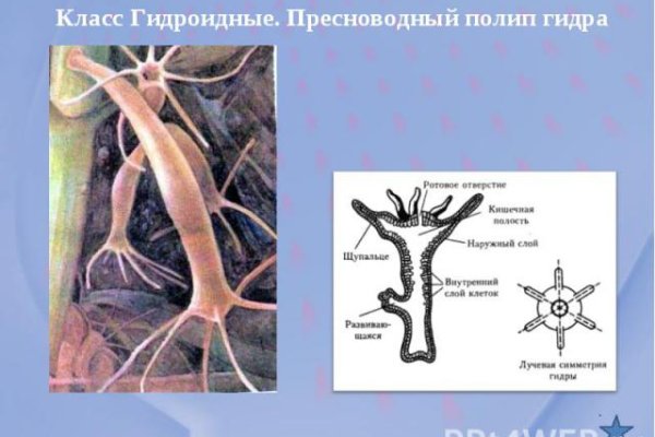 Кракен почему пользователь не найден