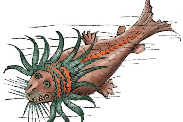 Kraken даркнет что это